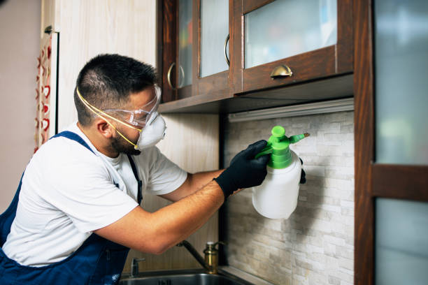 Best Best Pest Control Companies  in Candlewick Lake, IL