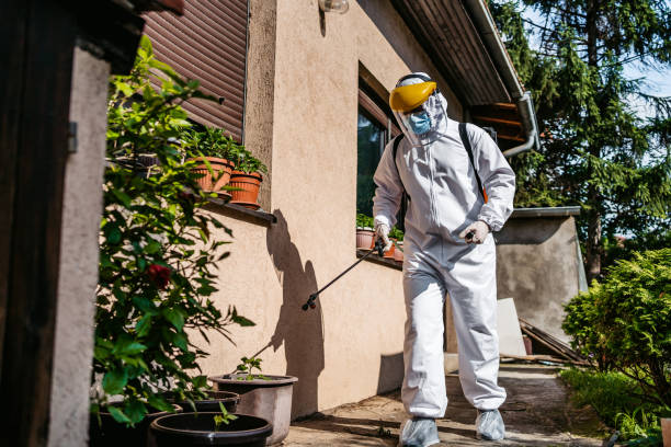 Best Commercial Pest Control Services  in Candlewick Lake, IL