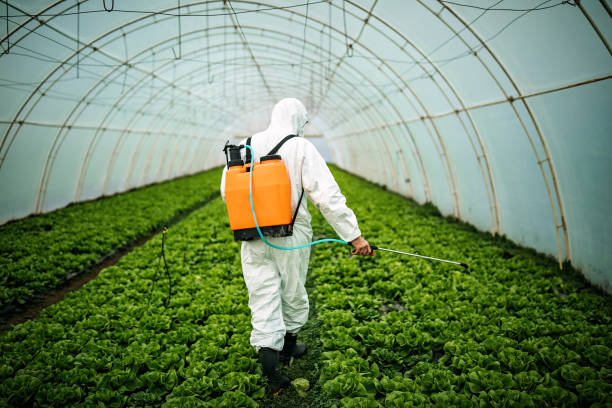 Best Mosquito Control Services  in Candlewick Lake, IL