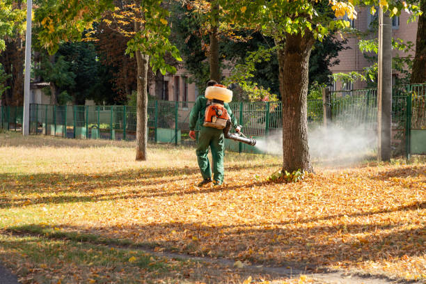 Best Emergency Pest Control  in Candlewick Lake, IL