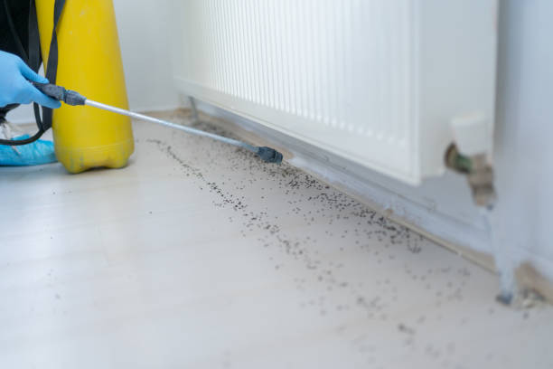 Best Pest Prevention Services  in Candlewick Lake, IL